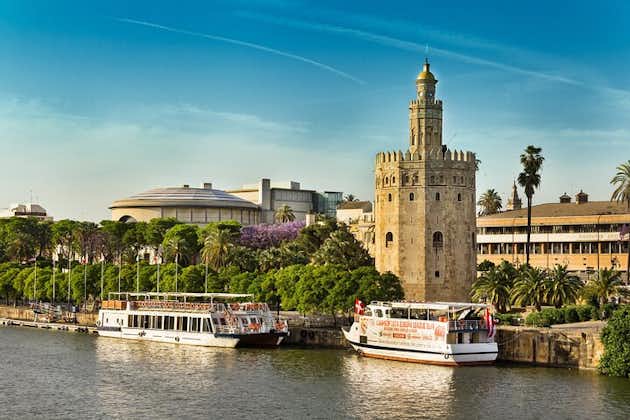 Seville Highlights & Orientation Private Tour for First-time Visitors