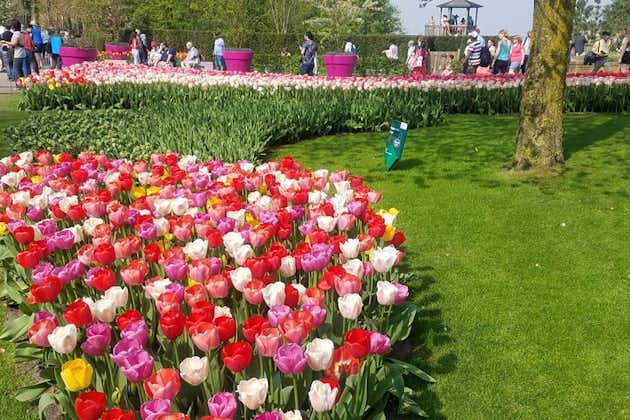 Tour dei tulipani Keukenhof e tour della città di Delft da Amsterdam