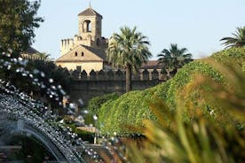Visita guiada de Córdoba y una copa de vino de Montilla-Moriles