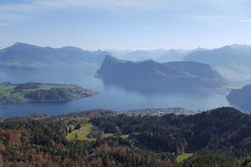 Excursão pelo Lago Luzern - Burgenstock, Rigi Seebodenalp e Luzern