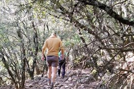 Wandelen in het Spaanse dennenbos van Escaleretas met ophaalservice bij het hotel