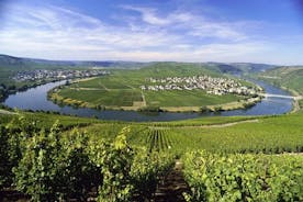 For the love of Riesling - Mosel Wine tour 
