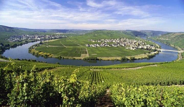  For the love of Riesling - Mosel Wine tour 