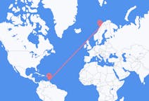 Flyg från St George's, Grenada till Bodø, Norge