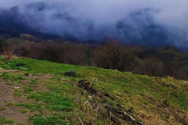 Vandringstur till Lagodekhi National Park från Tbilisi
