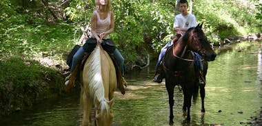 Horseback Riding Experience in Marmaris