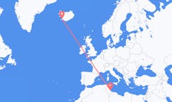 航班从突尼斯杰尔巴岛市到雷克雅维克市，冰岛塞尔