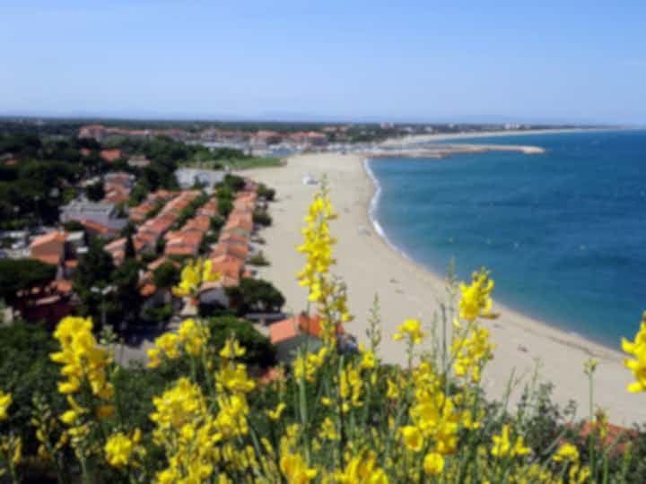 法国滨海阿尔热莱的最佳海滩度假