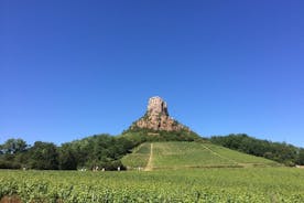 Tour del vino di Macon e Beaujolais (dalle 9:00 alle 17:15) - Tour per piccoli gruppi da Lione