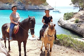 Cala Mitjana、メノルカ島、スペインでの乗馬