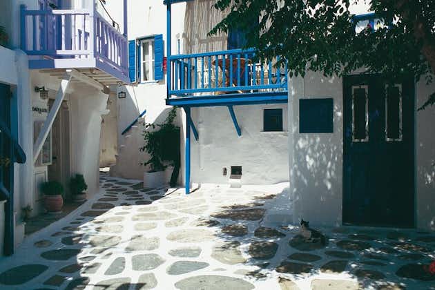 Visite de l'île privée de Mykonos