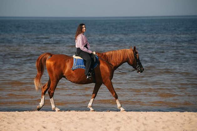 里加海滩上的私人骑马
