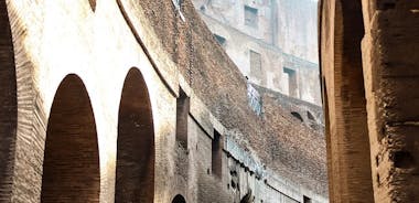 Colosseum Underground Semi-Private Tour with Roman Forum & Gladiator Arena