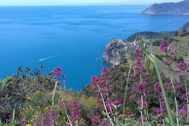 Cinque Terre unforgettable hiking experience