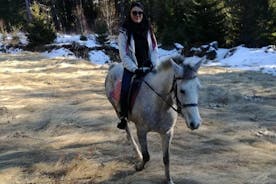 プロブディフからのロドピ山脈でのプライベート2日間の乗馬