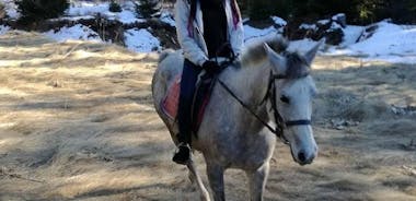 Private 2-Day Horseback Riding in Rhodope Mountains from Plovdiv
