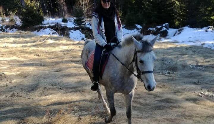 Equitazione privata di 2 giorni nelle montagne Rodopi da Plovdiv