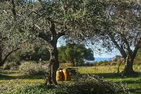 Argostoli y pueblos: tour privado con degustación de aceite de oliva