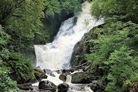 Torc mountain & waterfall hike. Killarney. Private guided group. 3½ hours.