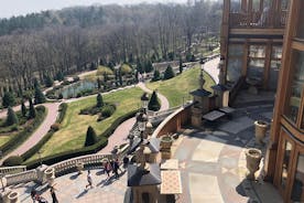 Residenza dell'ex presidente (tour della residenza Mezhyhirya)