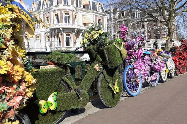 私人旅游：阿姆斯特丹城市徒步之旅和运河游船