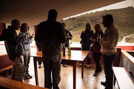 Las Palmas Shore Excursion: Private Volcanic Caldera, Teror Village and Wine-Tasting Tour