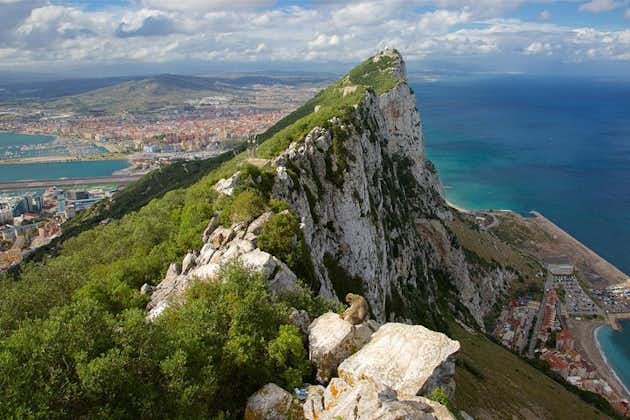 Tour privato di un'intera giornata a Gibilterra da Malaga o Marbella