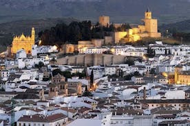 Private tours from Malaga to Antequera and the Dolmens for up to 8 persons