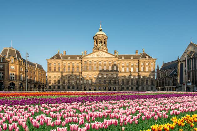Photo of National tulip day at the Dam Square with the Royal Palace on the background in Amsterdam, Netherlands.