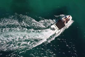 ザダルの近くの島々への半日スピードボート プライベート ツアー