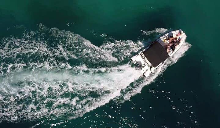 Privat halvdags speedbådstur til Zadars nærliggende øer