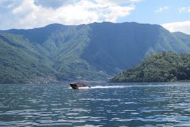 ヴィラバルビアーネッロとコモ湖の魅力一日のウォーキングとボートツアー