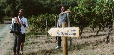 Winetour and homemade food experience in Pic St Loup