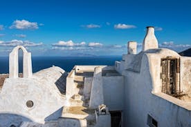 Santorini Hidden Paths and Country Side Private Tour