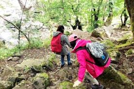 Excursion en randonnée au Mont Vitosha et à la cascade Boyana au départ de Sofia