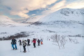 Caminata en raquetas de nieve en la Isla de la Ballena, en Tromso