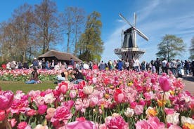 Tulip Mania: Keukenhof, Tulip Farm et transfert à Amsterdam