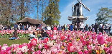 Tulip Mania: Keukenhof , Tulip Farm, and Amsterdam transfer
