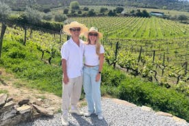 Tours de vinos increíbles en el valle del Duero
