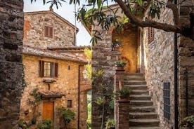 Full Day Tour in Chianti with Transportation Included