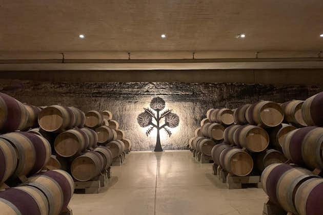 Rioja Alavesa Wineries and Medieval Villages Private Day Trip