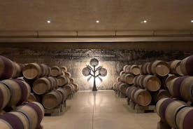 Rioja Alavesa Vinprodusenter og middelalderbyer Privat dagstur
