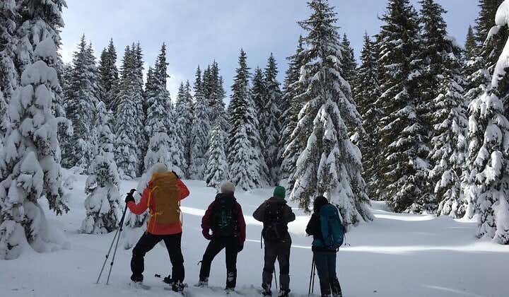 Excursión de un día con raquetas de nieve desde Bansko a las montañas Ródope